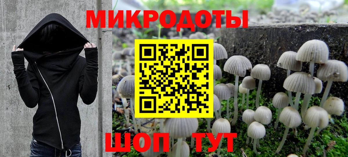 Галлюциногенные грибы Psilocybe Ирбит